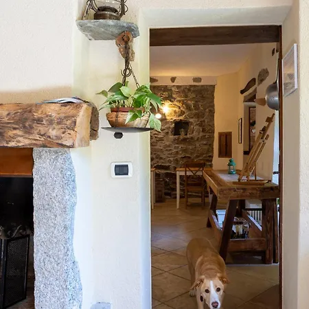 Il Cortile Di Mamma Mia