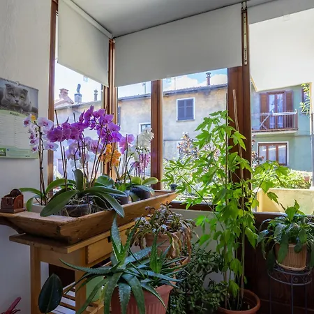 아파트 Il Cortile Di Mamma Mia *