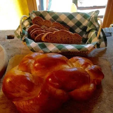 Mamma Mia فندق مبيت وإفطار Pisano