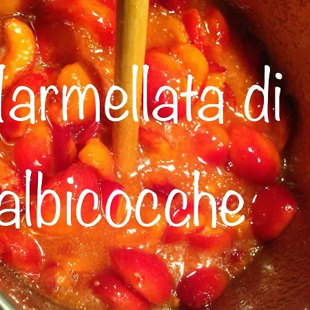 Alojamento de Acomodação e Pequeno-almoço Mamma Mia Pisano