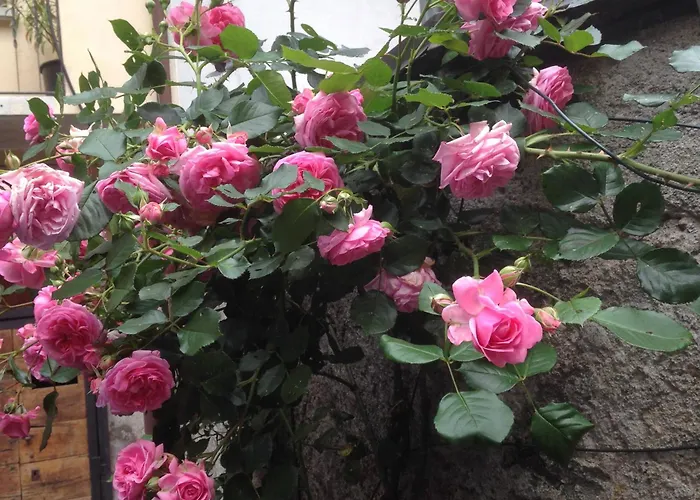 Il Cortile di Mamma Mia Appartamento *