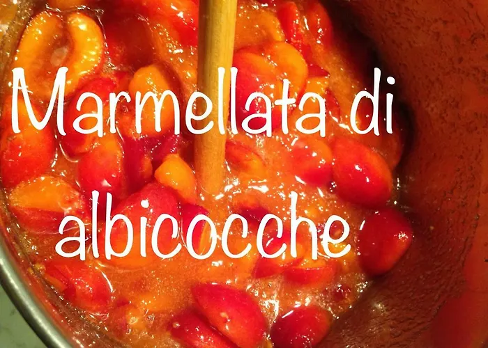 住宿加早餐酒店 Mamma Mia Pisano